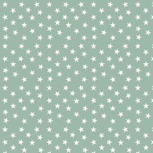 Little Star Neptune